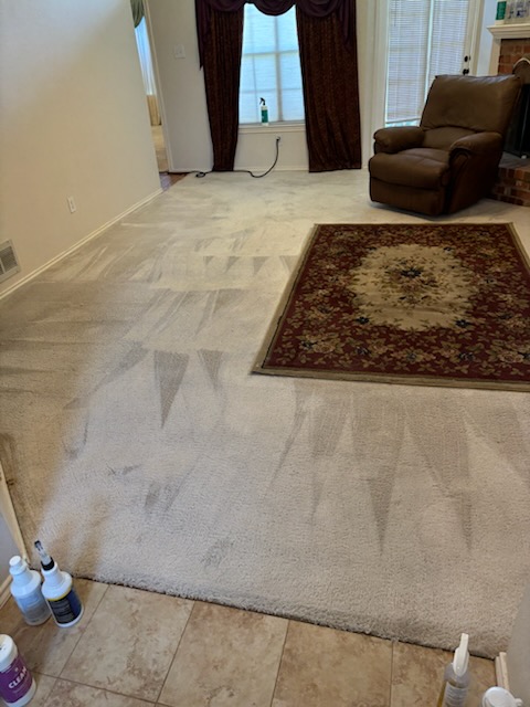Professional carpet cleaning in progress on living room floor with furniture and windows visible