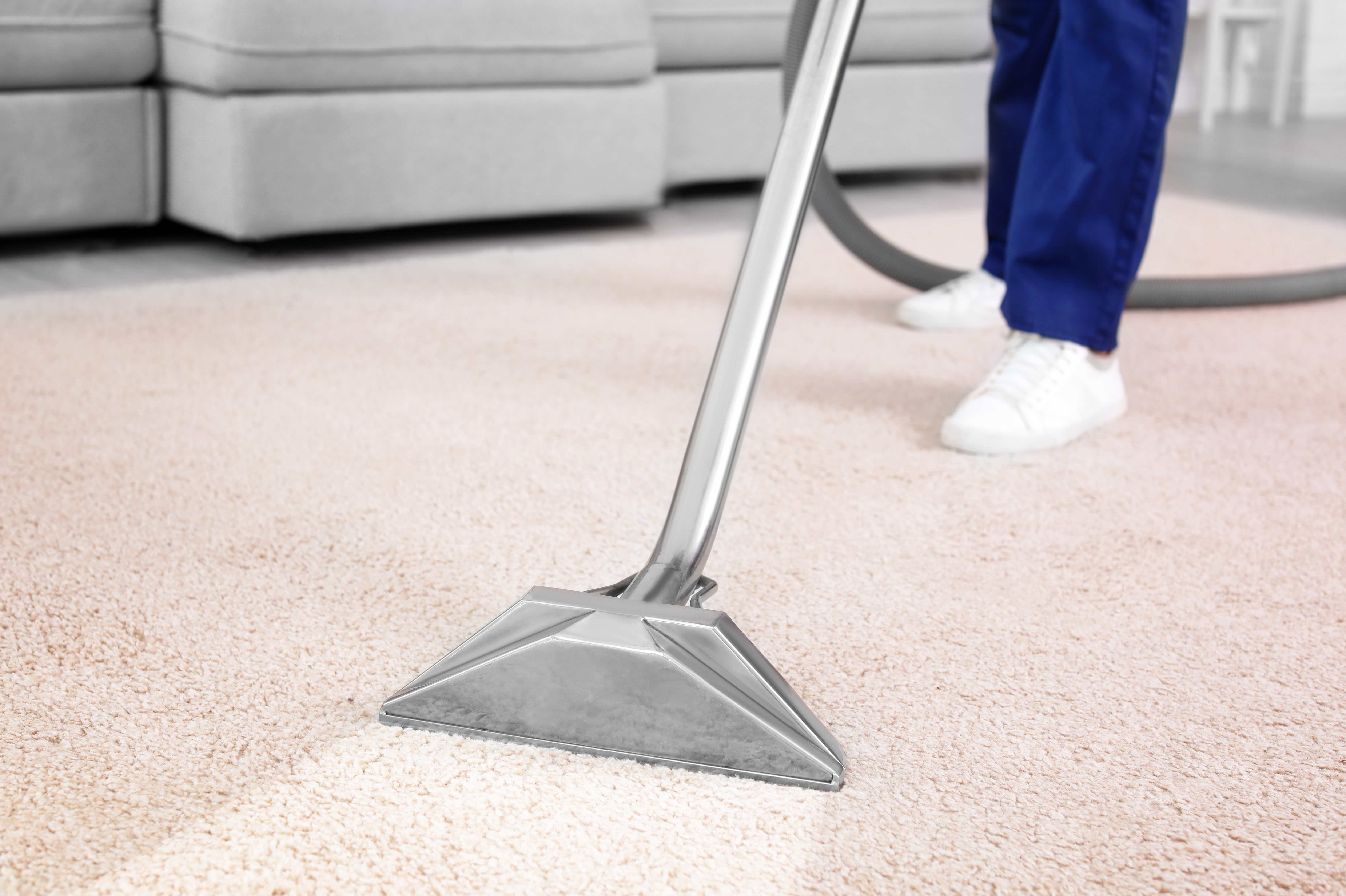Professional carpet cleaning with extraction wand on beige carpet