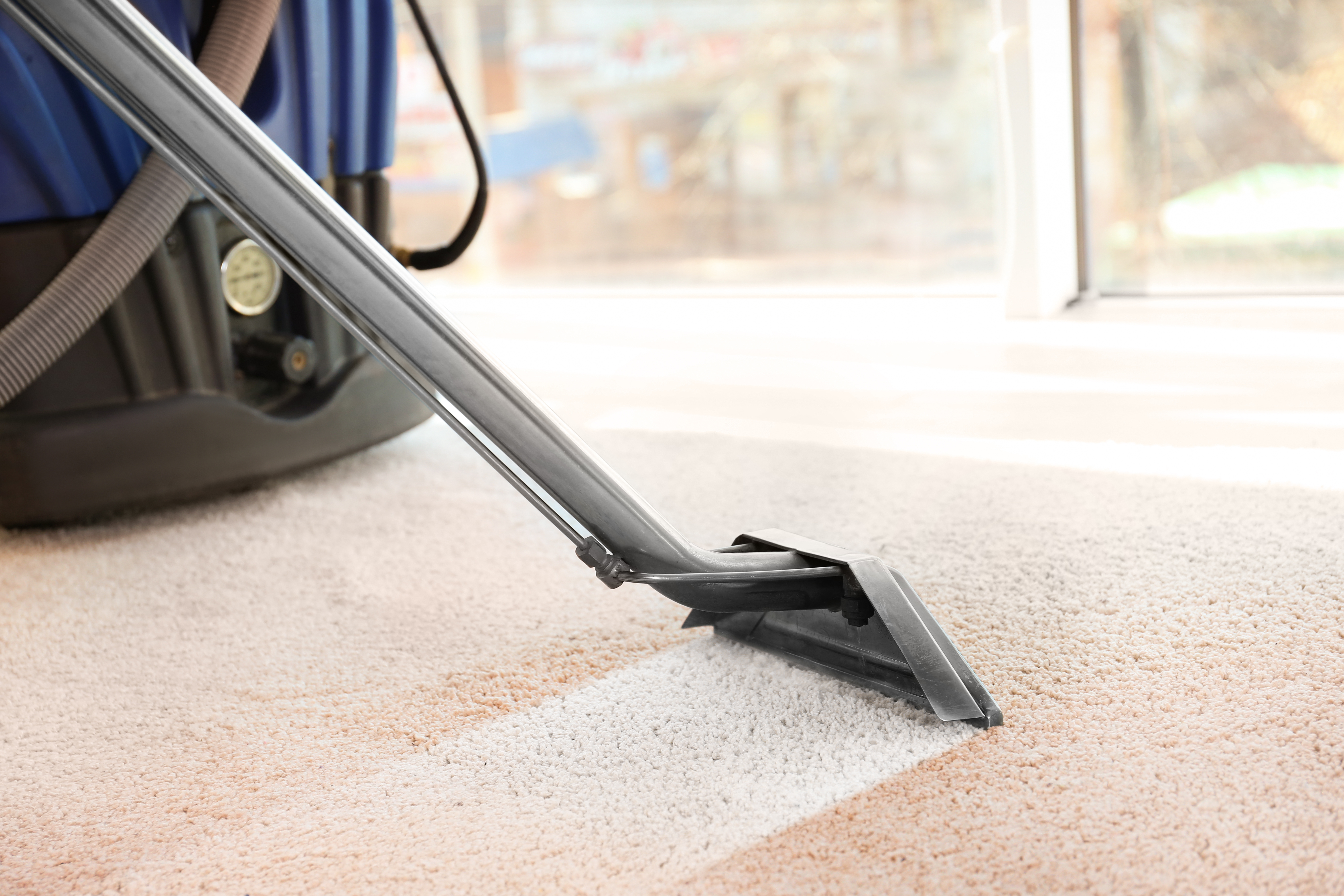 Professional carpet cleaning with extraction equipment on beige carpet