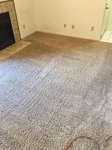 Empty room with beige carpet, tan walls, and tile flooring near doorway