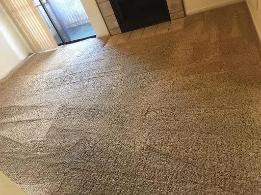 Clean beige carpet in residential room with windows and doorway visible