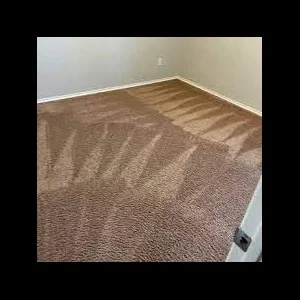 Empty room with brown carpet showing clean and stained areas
