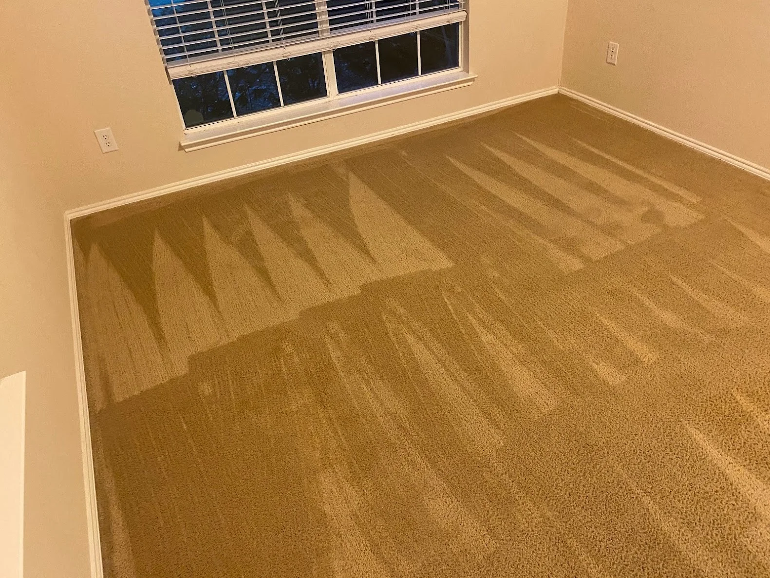 Vacant room with freshly cleaned tan carpet and beige walls with window