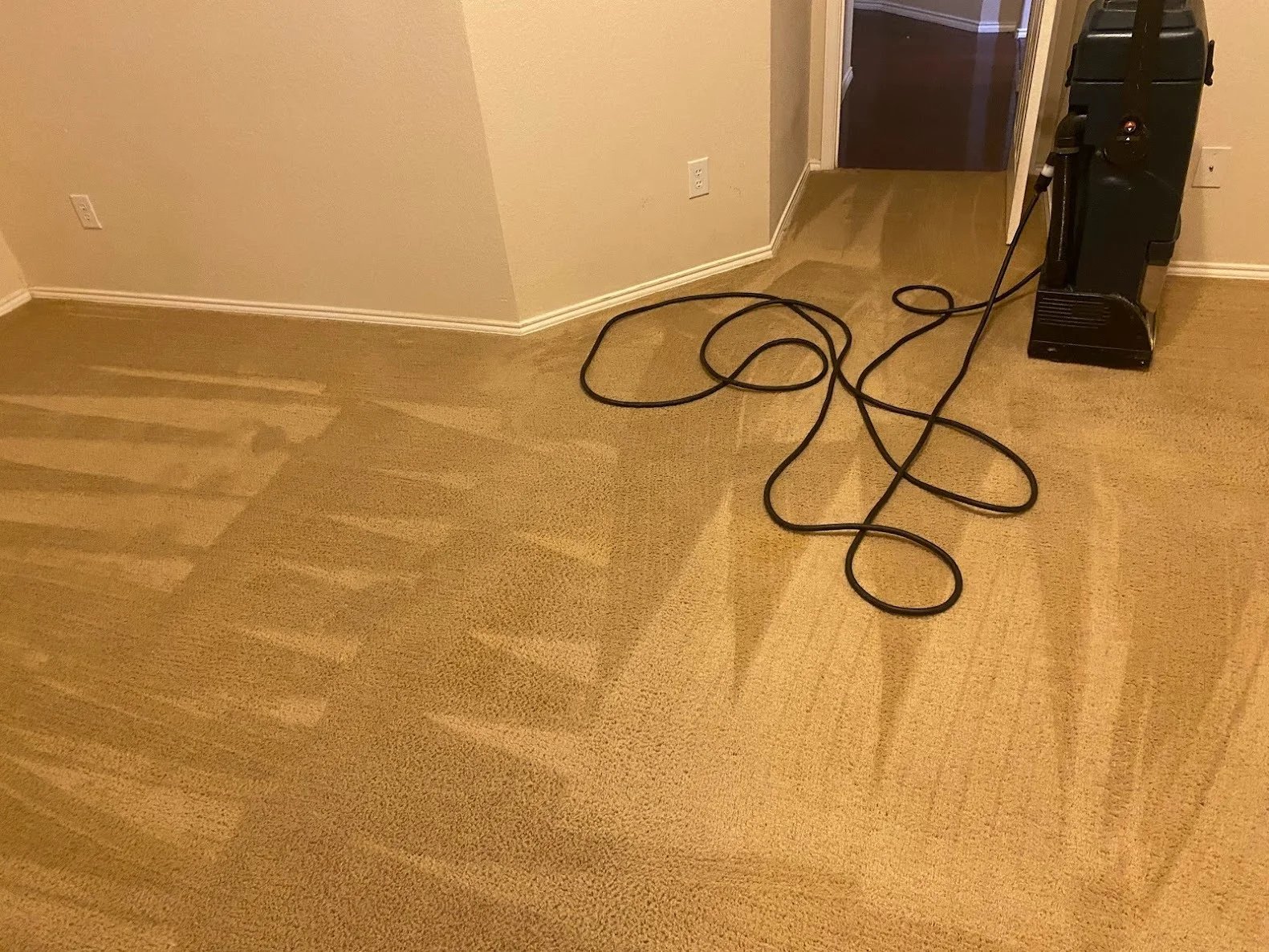 Professional carpet cleaning in progress with equipment and power cord on tan residential carpet